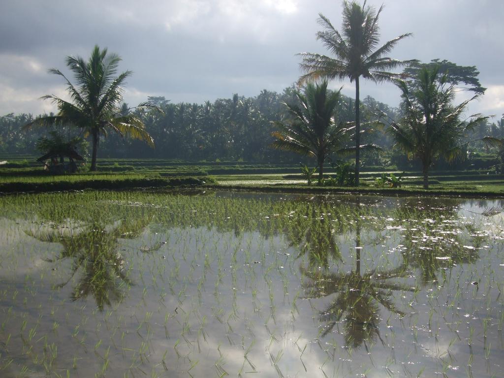 Puri Darma Agung Ferienpark