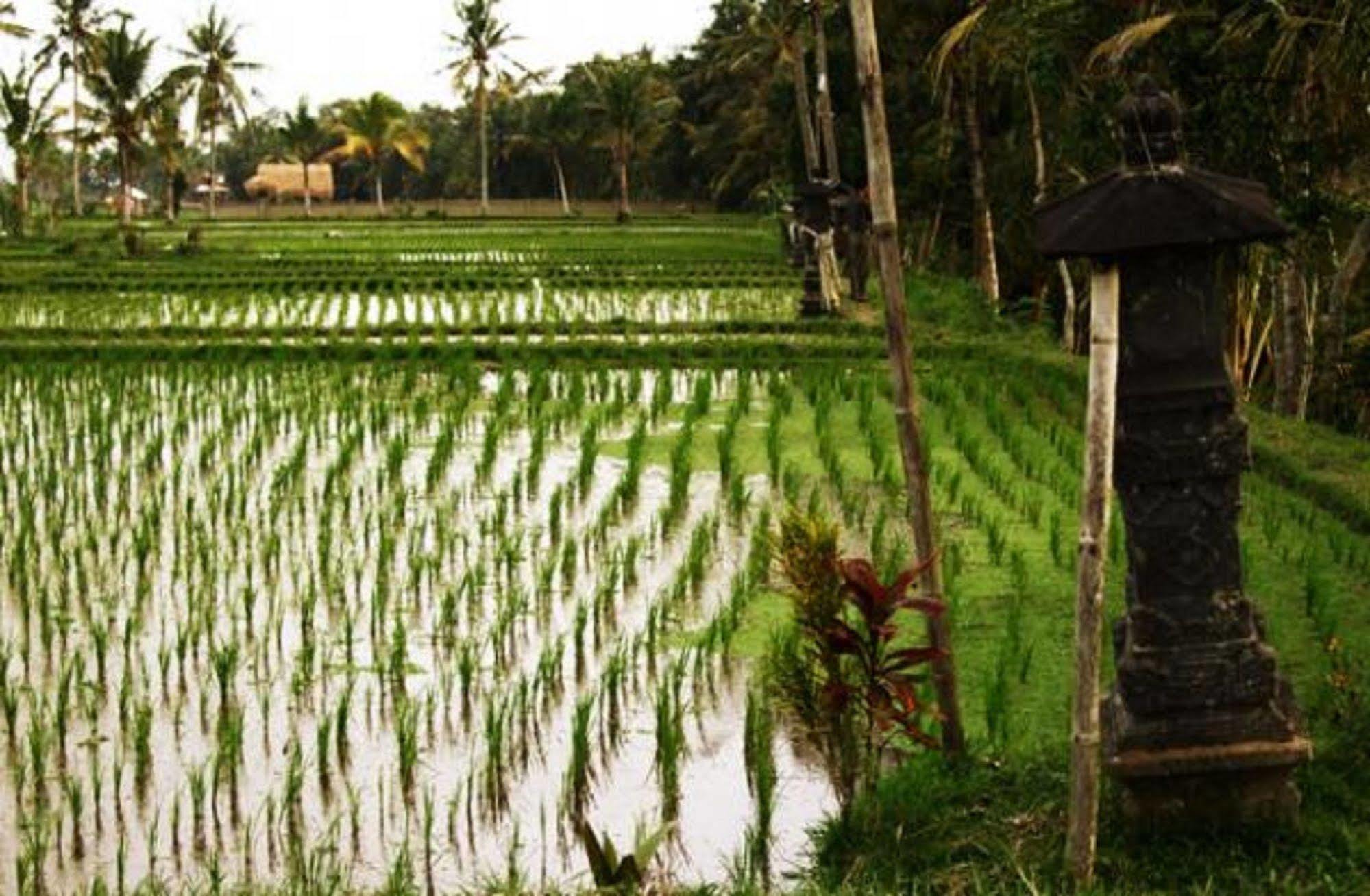 Puri Darma Agung Ubud