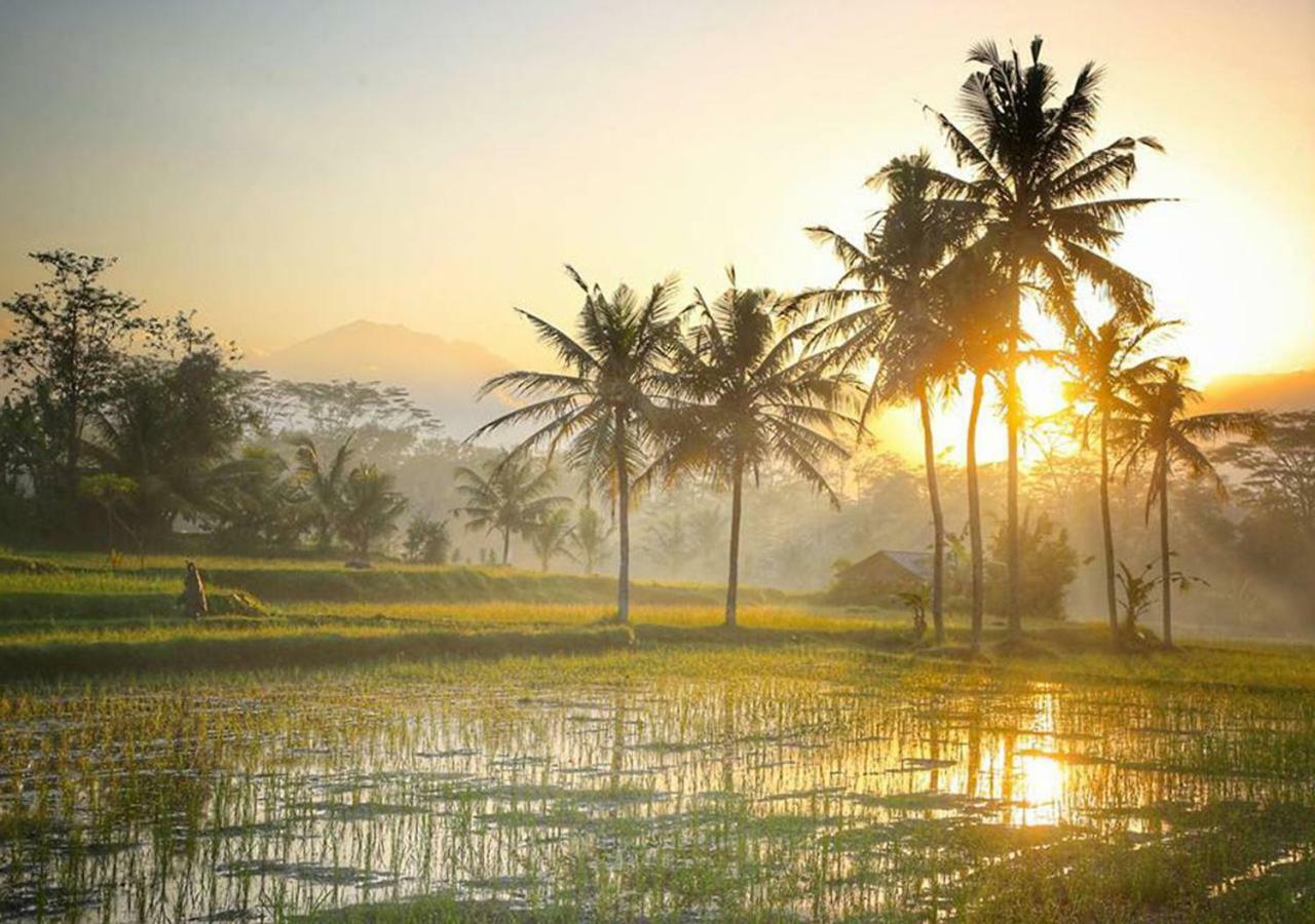 Puri Darma Agung Ferienpark 4*